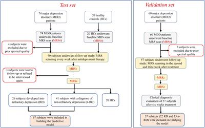 Quantitative magnetic resonance spectroscopy of depression: The value of short-term metabolite changes in predicting treatment response